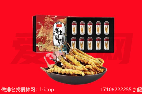 淮北市回收虫草.jpg